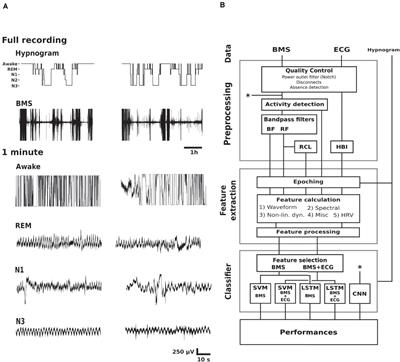 An Open Source Classifier for Bed Mattress Signal in Infant Sleep Monitoring
